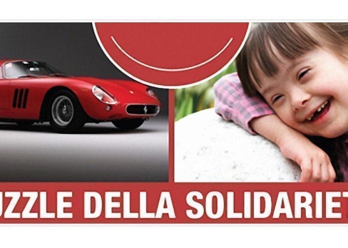 Puzzle della Solidarietà