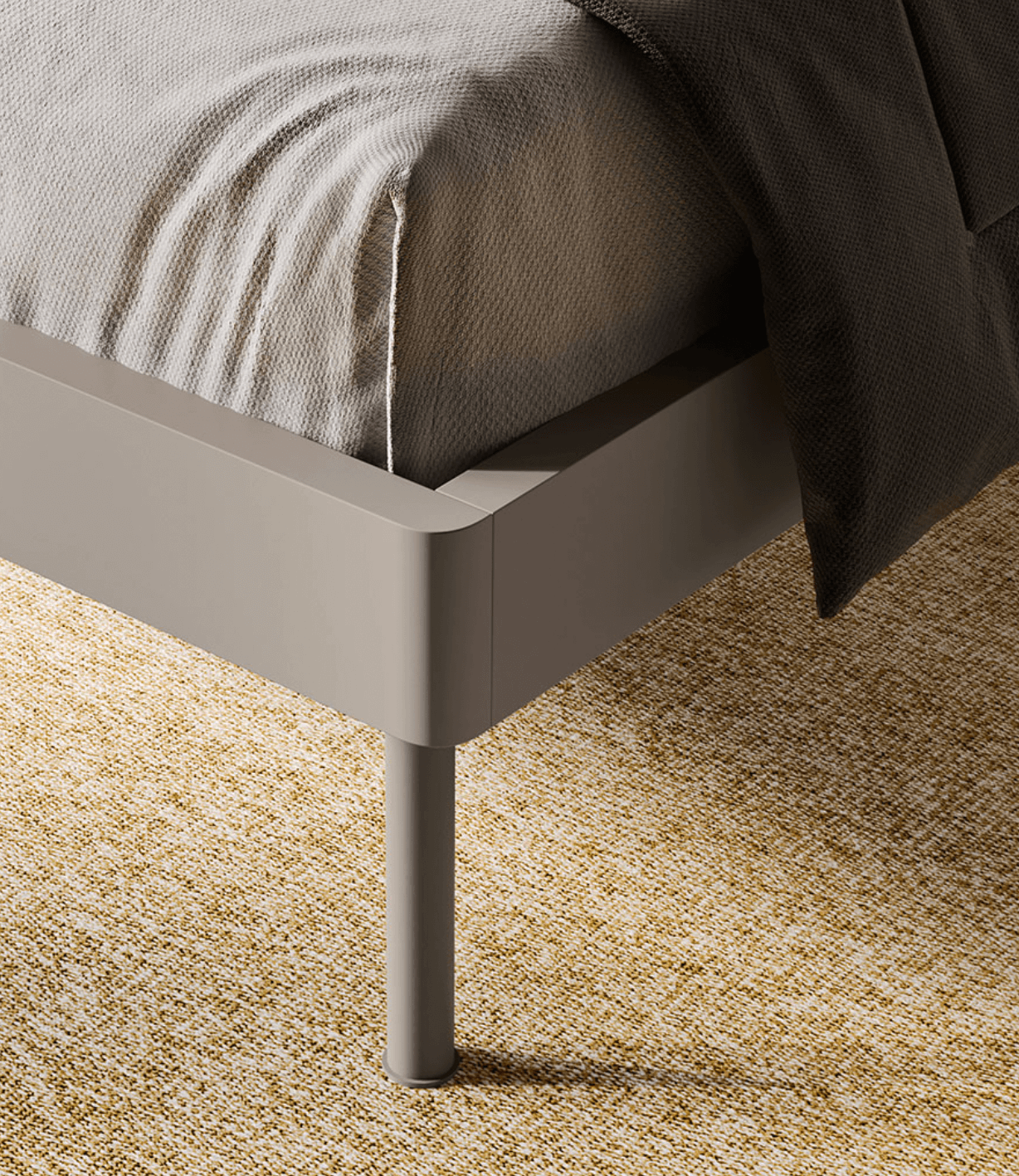 Modello cod.F0041 2