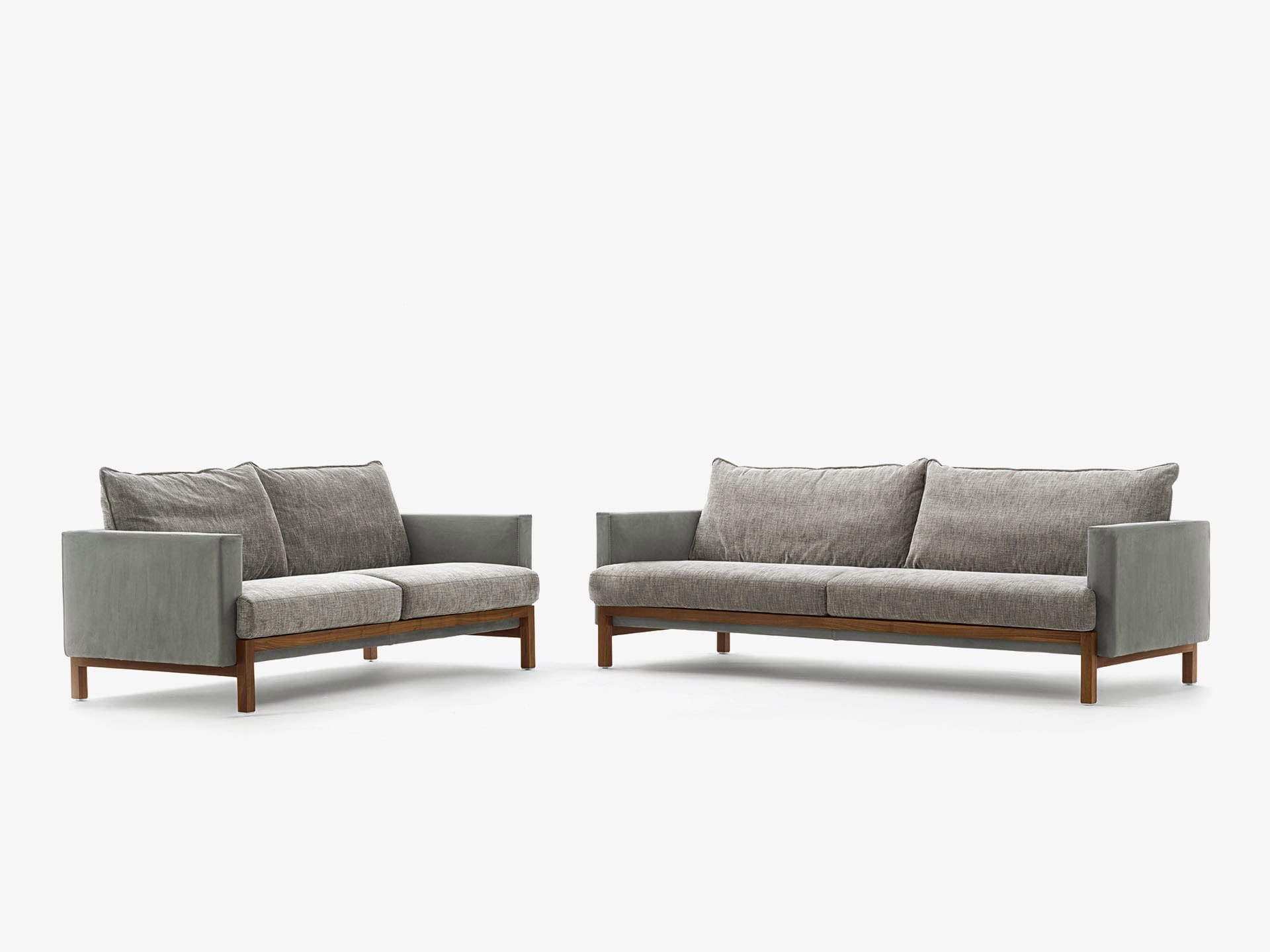 Modello cod.F0139 3