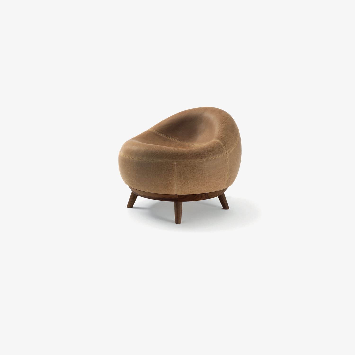 Modello cod.F0141 2