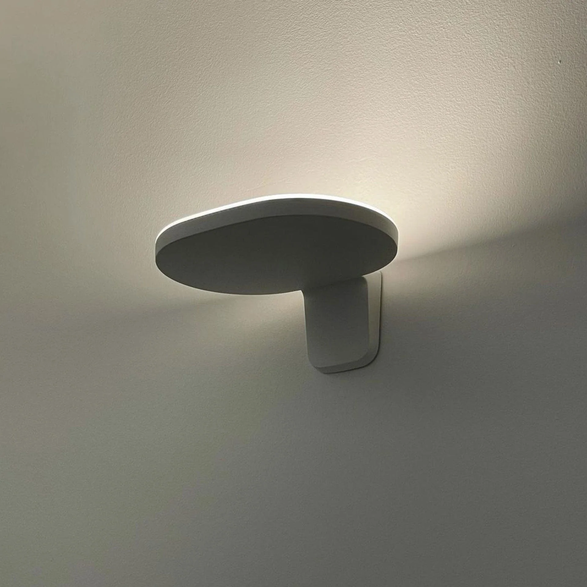 Modello cod.F0191 3