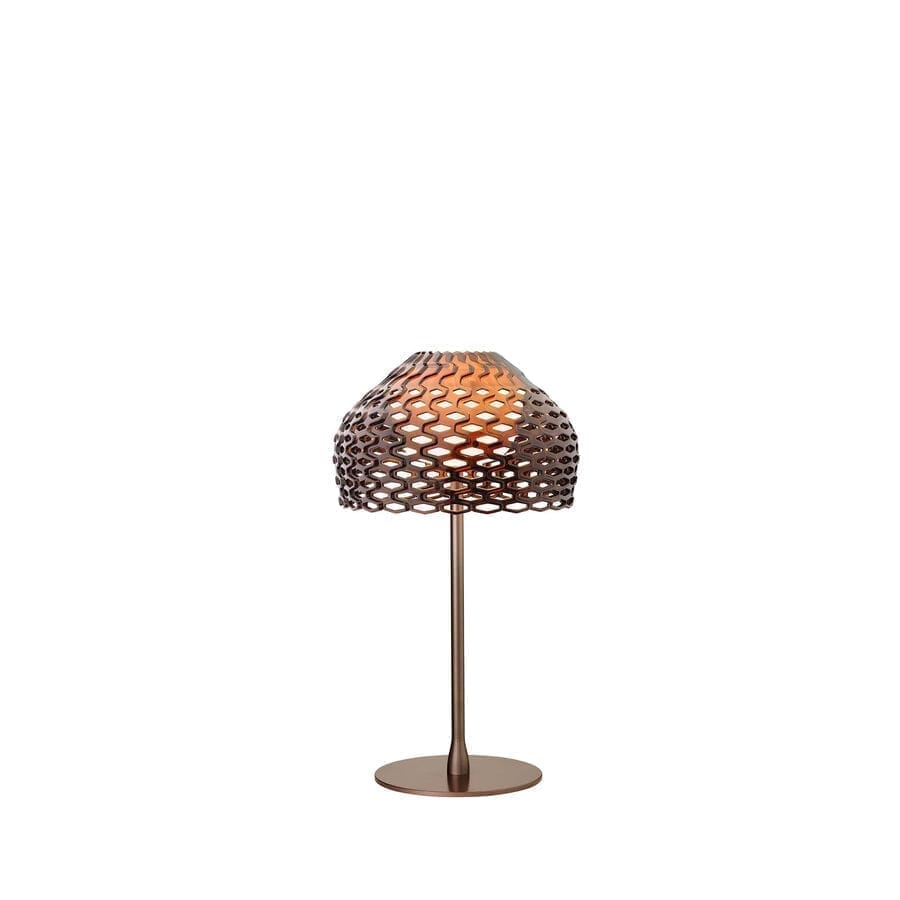 Modello cod.F0266 2
