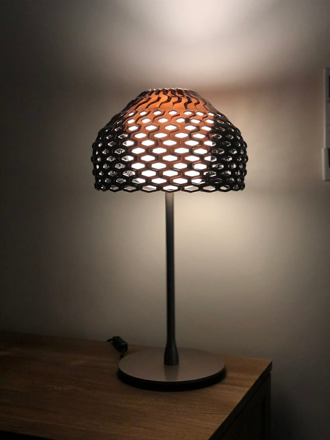 Modello cod.F0266 3
