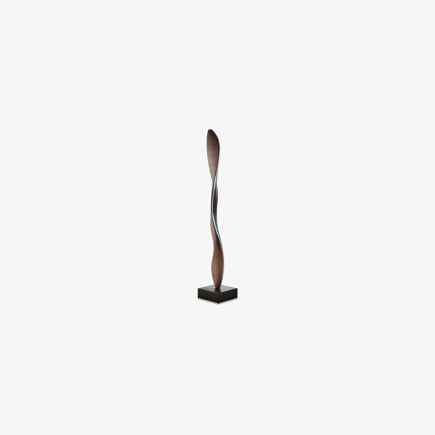 Modello cod.F0239 3