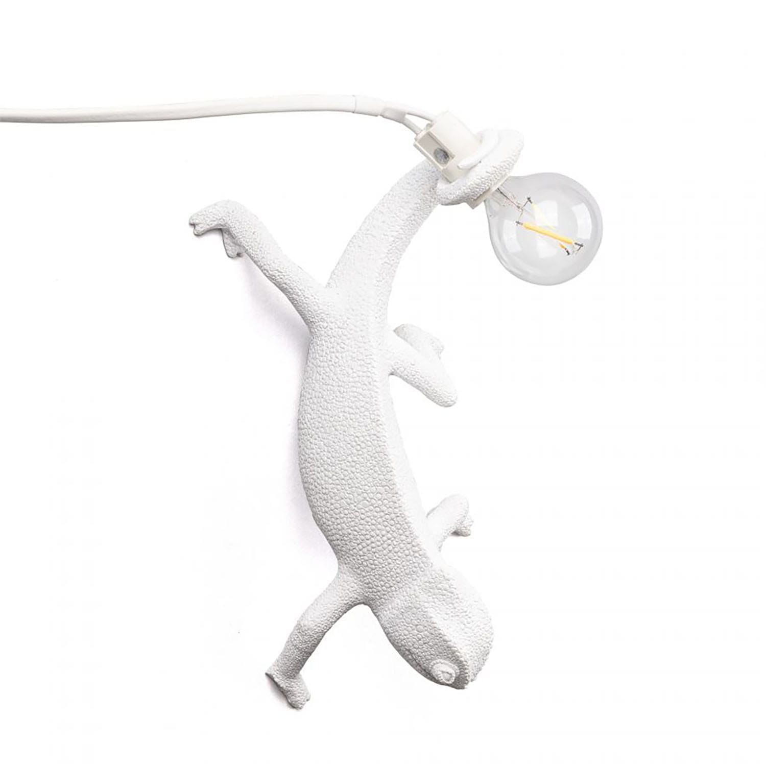 Modello cod.F0254 3