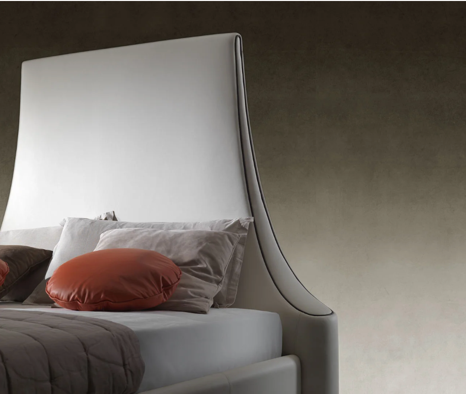 Modello cod.F0339